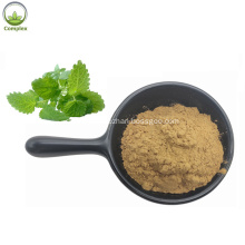 Lemon Balm Herb Extract Used For Supplement